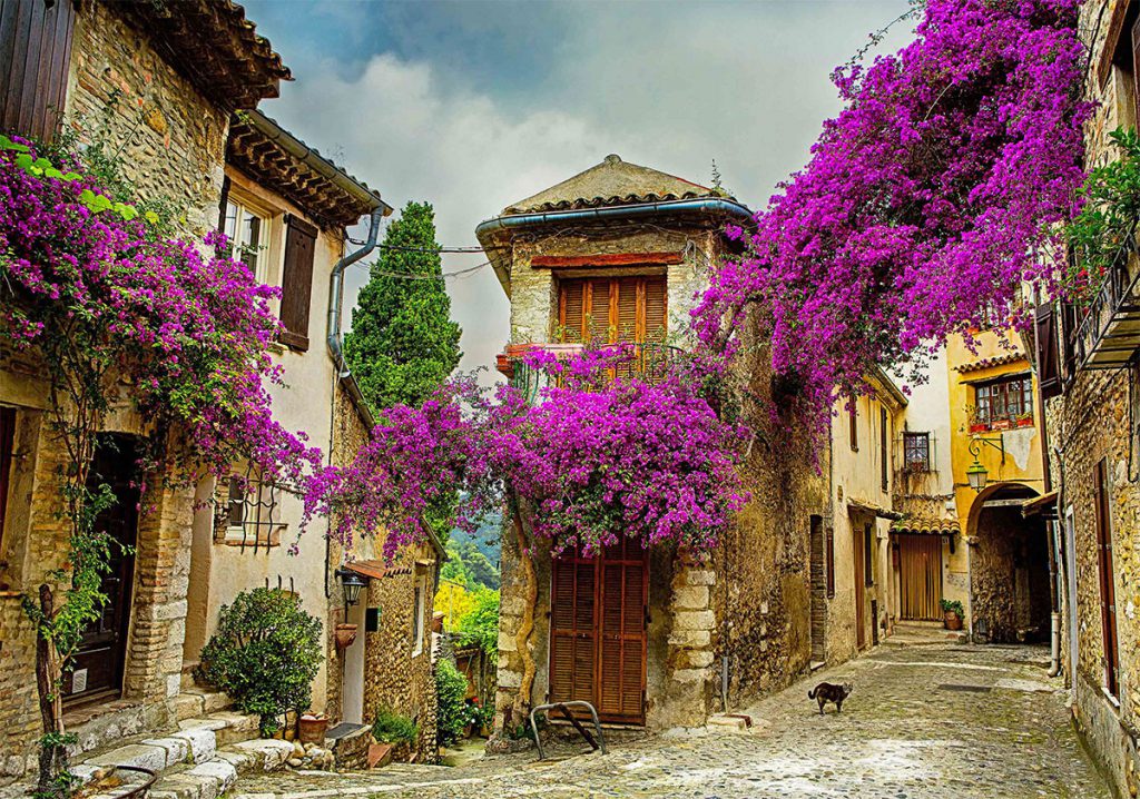 Provence Village